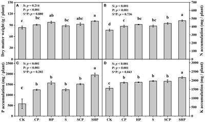 Straw and phosphorus applications promote maize (Zea mays L.) growth in saline soil through changing soil carbon and phosphorus fractions